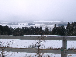 c0036203_21172959.jpg