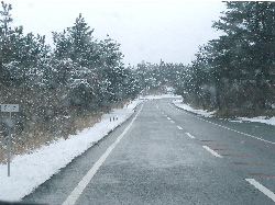 c0036203_21174081.jpg