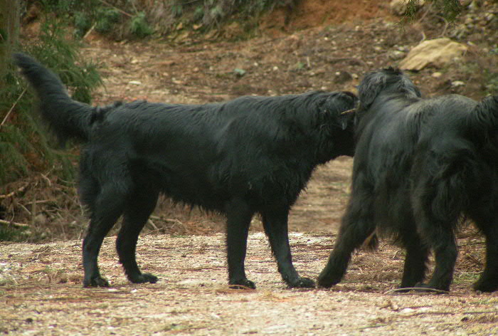c0020265_1045528.jpg