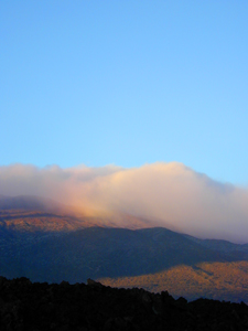 b0001980_1543777.jpg
