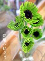 c0051385_014445.jpg