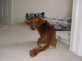 c0058494_12104415.jpg