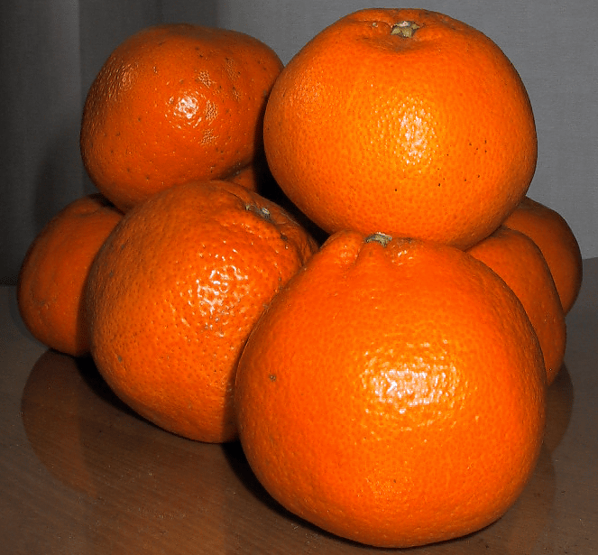 a0006605_14281635.gif