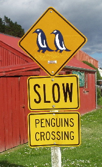 b0051109_1025594.jpg
