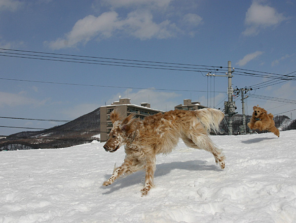 a0016311_21261968.jpg