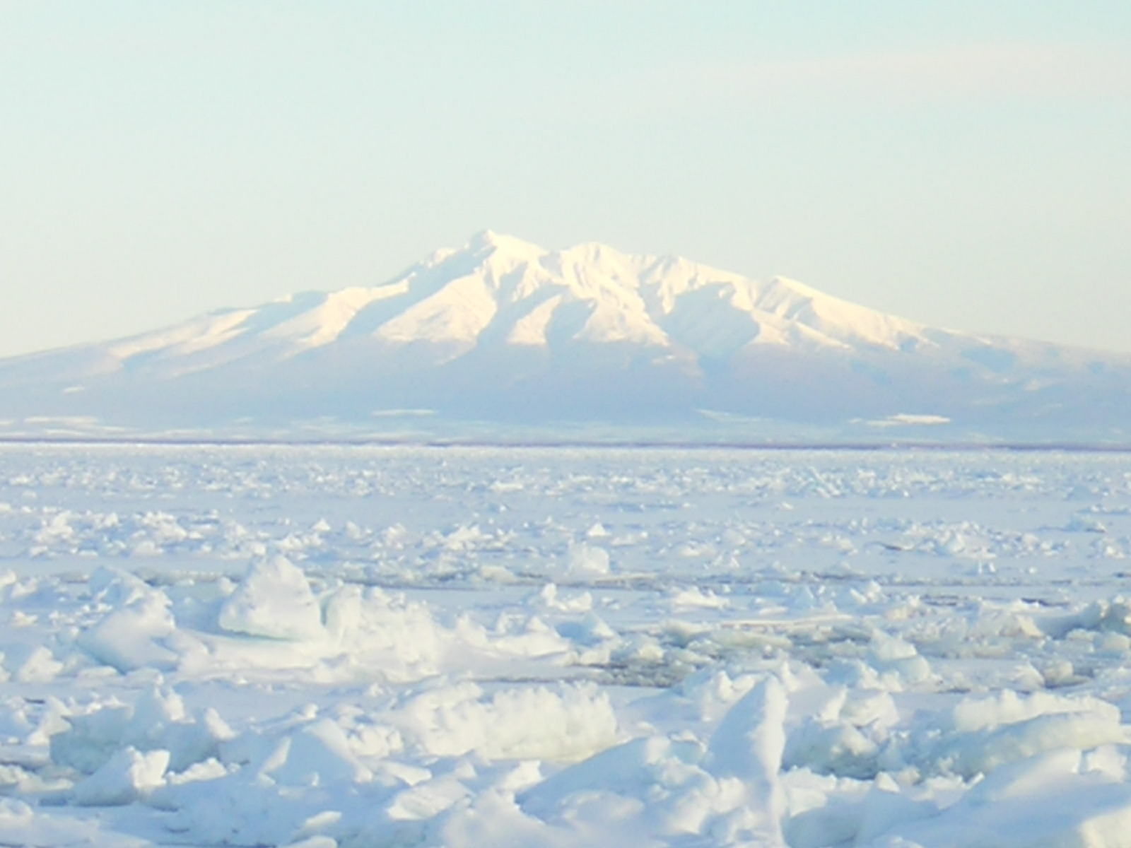 b0053414_14311363.jpg