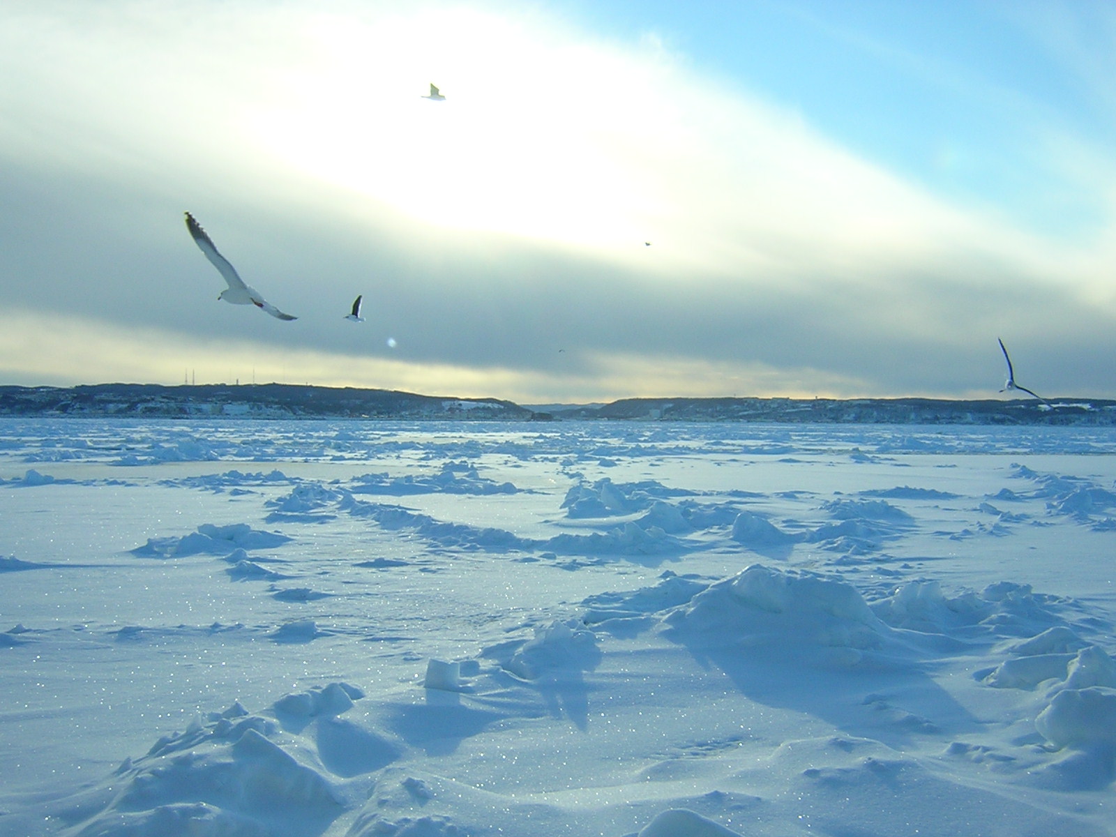 b0053414_14313235.jpg