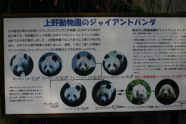 a0017618_1212147.jpg