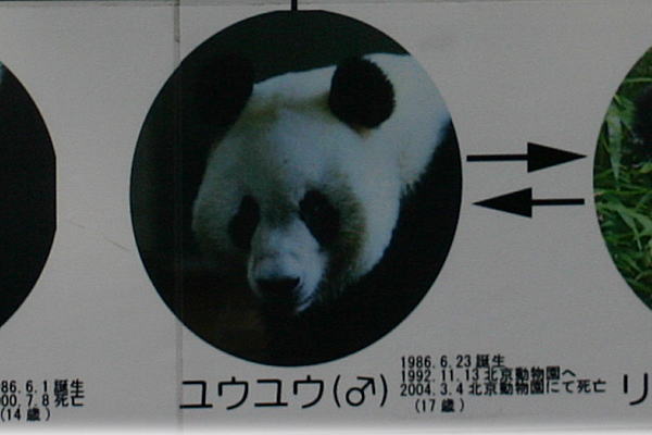 a0017618_1214875.jpg