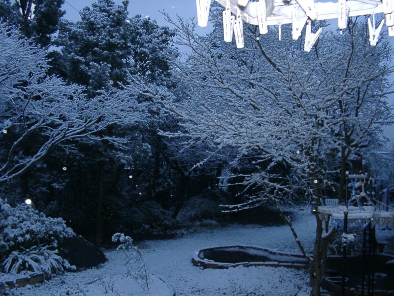 c0025027_6591390.jpg