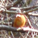 b0035639_22451793.jpg