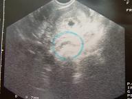 b0045267_2349838.jpg