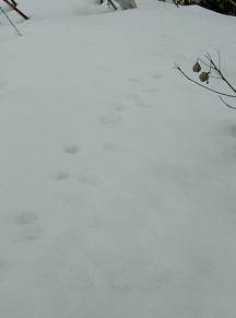 c0026178_19185811.jpg