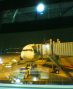 c0026178_2083754.jpg
