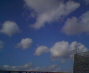 c0012180_1221764.jpg