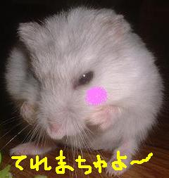 c0004601_13172028.jpg