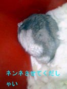 c0032408_16531797.jpg