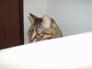 a0027720_1216795.jpg
