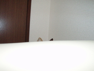 a0027720_128593.jpg