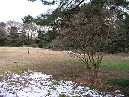c0057325_1513774.jpg