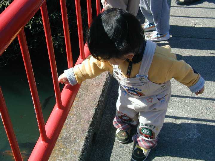 c0046026_1591014.jpg