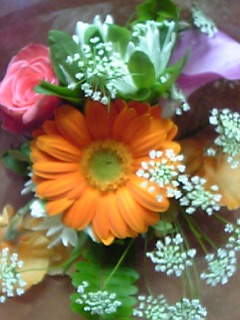 b0046339_0441381.jpg