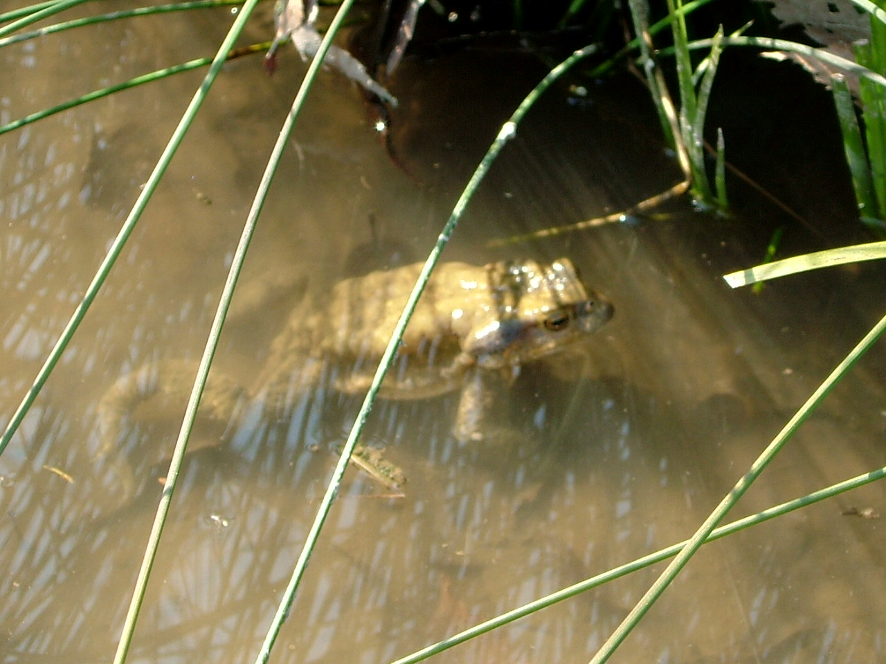 b0064679_21293610.jpg
