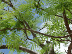 c0068090_2211816.jpg