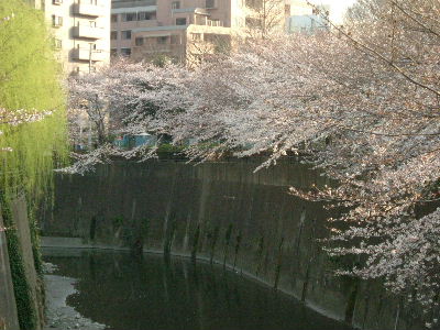c0044199_17445540.jpg