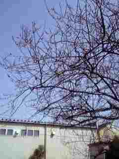 c0065309_19423967.jpg