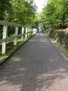 c0059521_15244470.jpg