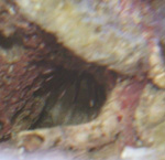 b0026541_13304047.jpg