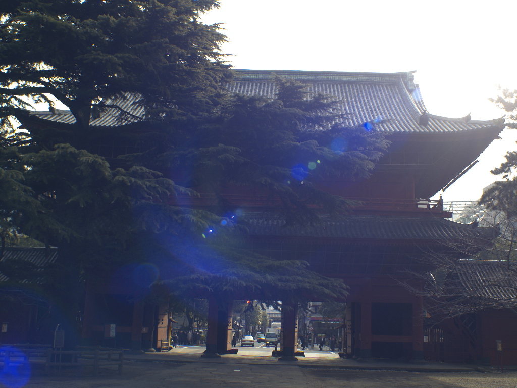 c0066245_0531040.jpg
