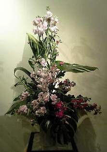 c0042463_2337729.jpg