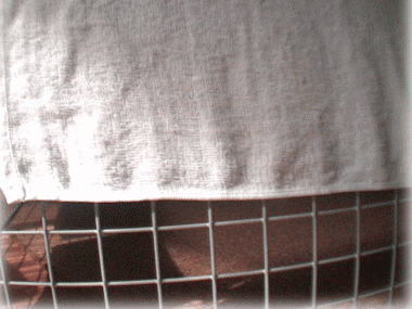 b0055276_1154157.gif