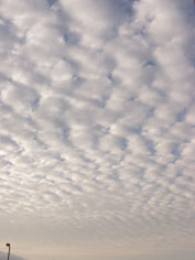 c0068090_18324136.jpg