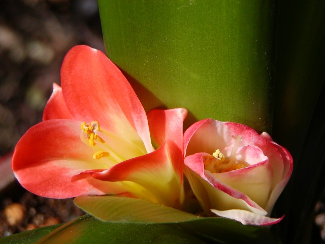 a0004023_7524251.jpg