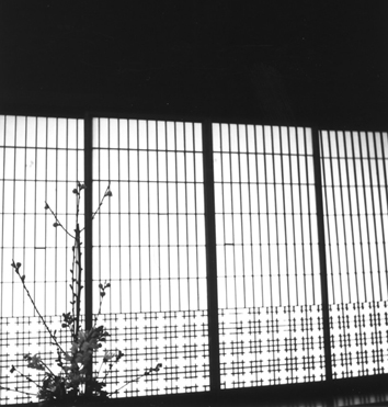 b0051033_21364917.jpg