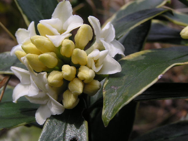 c0042869_21402576.jpg