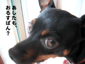 c0012571_19105555.gif
