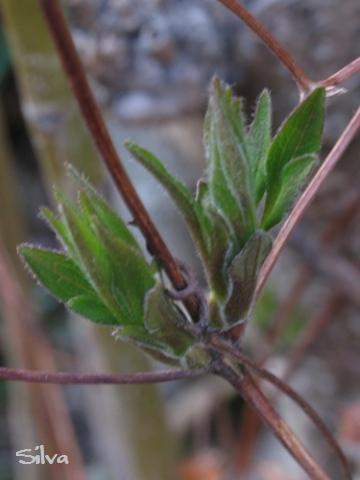 c0039974_045118.jpg