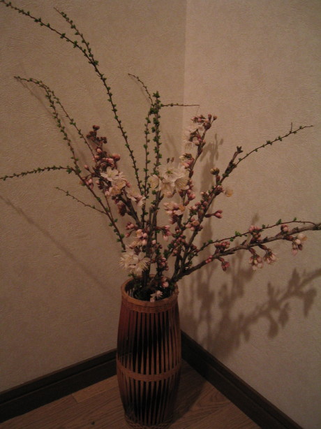 c0029911_23383245.jpg