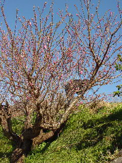 a0003150_22104117.jpg