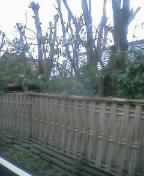 c0074553_17594913.jpg
