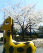 c0026178_9502928.jpg