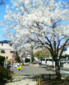 c0026178_9502950.jpg