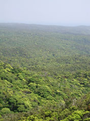 c0068090_10255758.jpg