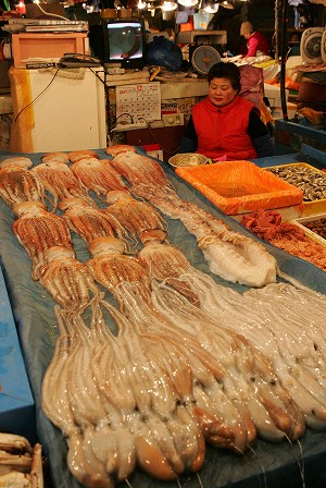 a0020901_1046526.jpg