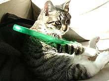 c0035001_15471961.jpg