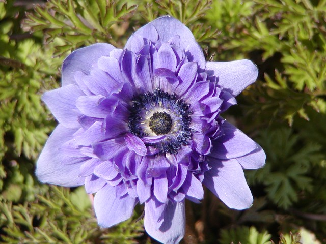 a0004023_7322559.jpg
